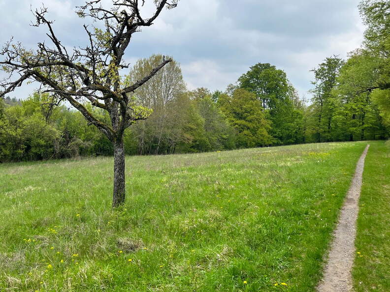 22-04-25 12-28-18 0625